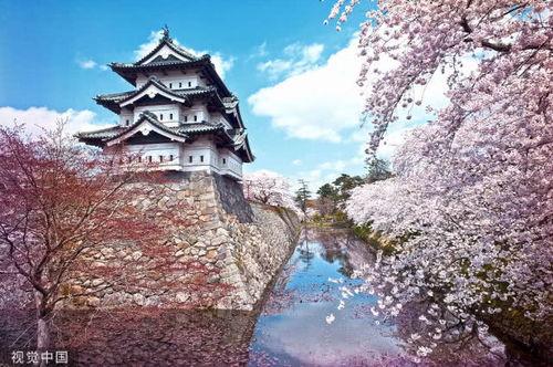 日本道精品,道精品之旅